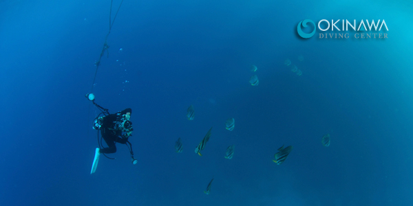 沖縄ダイビングセンター