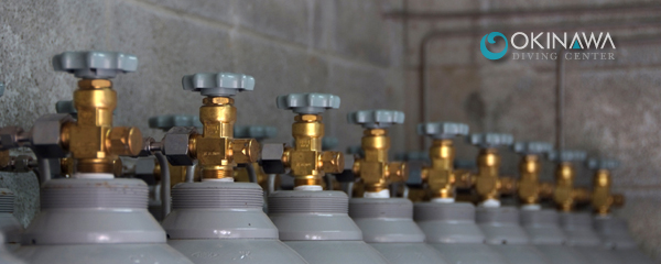 恩納村 ダイビング