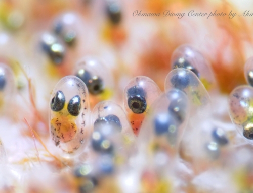 今年最後の！？台風接近中？？