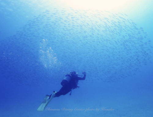 12月12日は何の日？